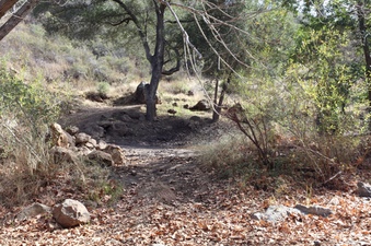 Enlarge photo 241