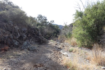 Enlarge photo 242