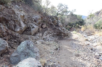 Enlarge photo 243
