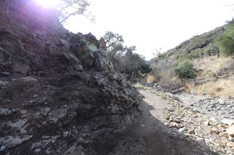Enlarge photo 244