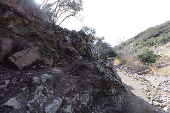 Enlarge photo 245