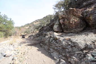 Enlarge photo 247
