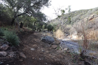Enlarge photo 248