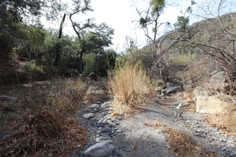 Enlarge photo 249
