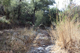 Enlarge photo 251