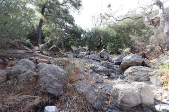 Enlarge photo 250