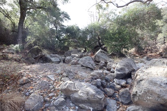 Enlarge photo 252