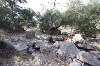 Enlarge photo 253