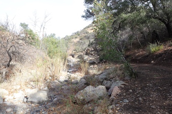 Enlarge photo 255
