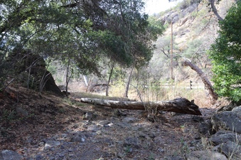 Enlarge photo 254