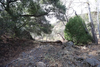 Enlarge photo 257