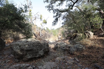 Enlarge photo 256