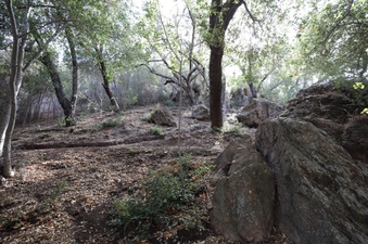 Enlarge photo 258