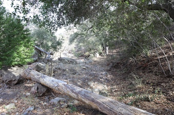 Enlarge photo 260