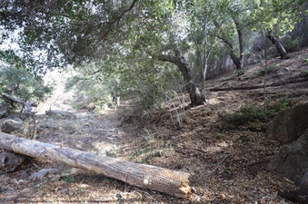 Enlarge photo 261