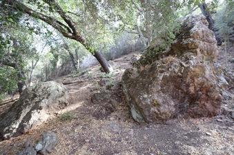 Enlarge photo 262