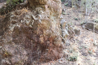 Enlarge photo 263