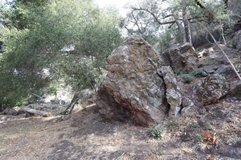 Enlarge photo 264