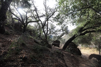 Enlarge photo 267