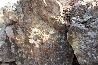 Enlarge photo 270