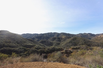 Enlarge photo 30