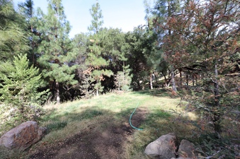 Enlarge photo 42