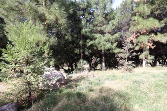 Enlarge photo 43