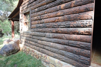 Enlarge photo 51