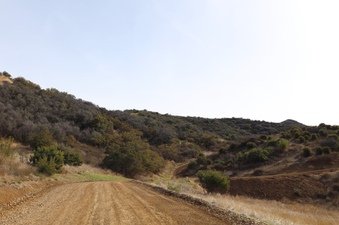 Enlarge photo 7