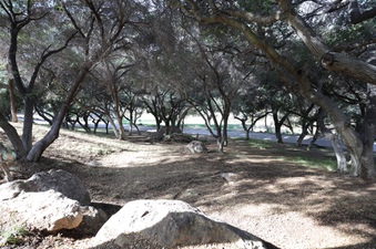 Enlarge photo 76