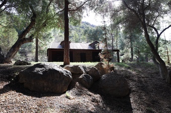 Enlarge photo 77
