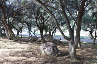 Enlarge photo 78