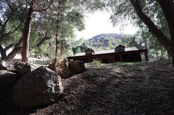 Enlarge photo 79