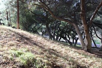 Enlarge photo 81