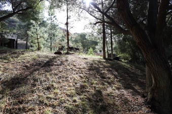 Enlarge photo 82