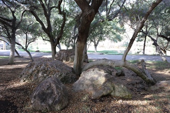 Enlarge photo 83