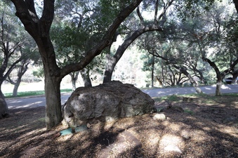 Enlarge photo 84