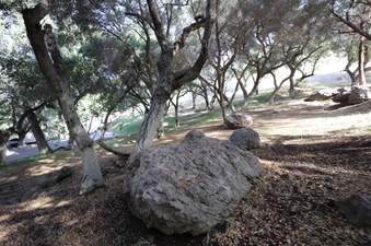 Enlarge photo 85