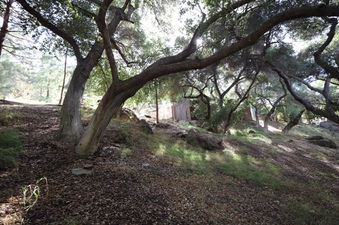 Enlarge photo 86