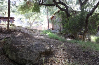 Enlarge photo 87