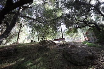 Enlarge photo 89