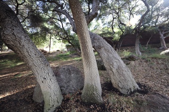Enlarge photo 90