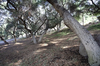 Enlarge photo 91