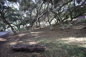 Enlarge photo 92