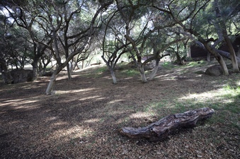 Enlarge photo 93