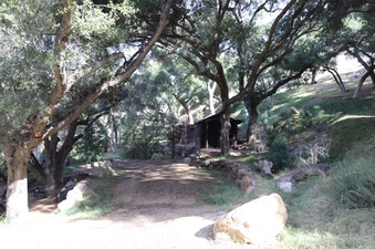 Enlarge photo 97