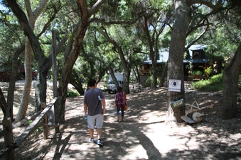 Enlarge photo 5