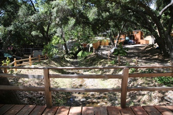 Enlarge photo 13