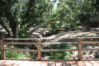 Enlarge photo 14
