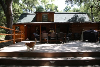 Enlarge photo 25